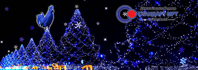 banner_new_year2017_400px